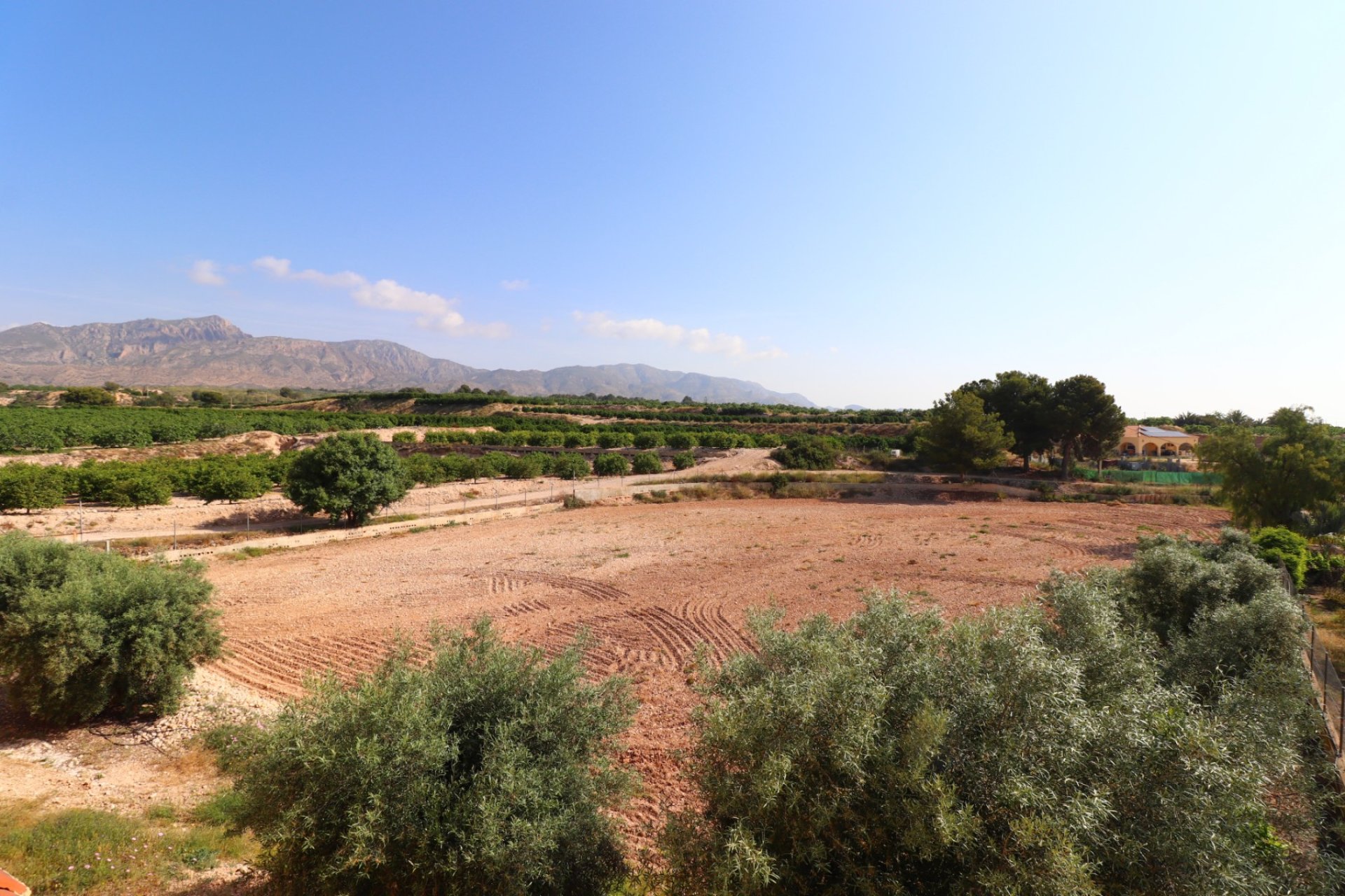 Verkoop - Finca / Country Property - Albatera - Albatera - Country