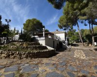 Verkoop - Finca / Country Property - Algorfa - Montemar