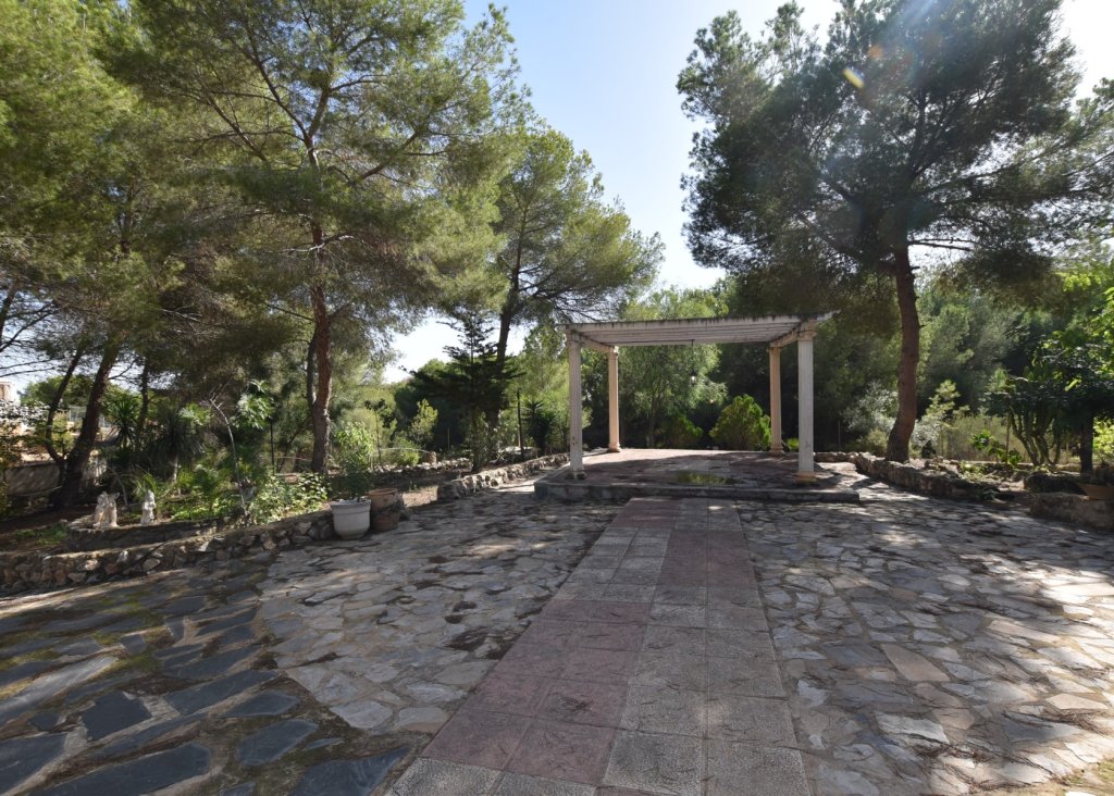 Verkoop - Finca / Country Property - Algorfa - Montemar