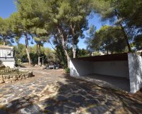 Verkoop - Finca / Country Property - Algorfa - Montemar