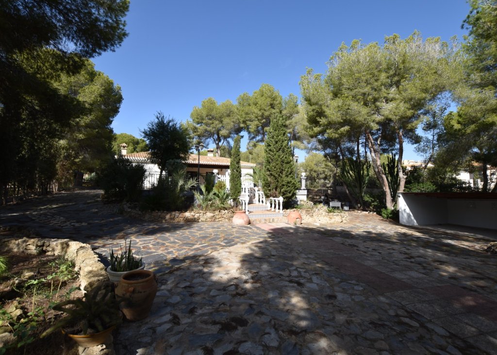 Verkoop - Finca / Country Property - Algorfa - Montemar