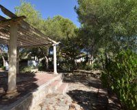 Verkoop - Finca / Country Property - Algorfa - Montemar