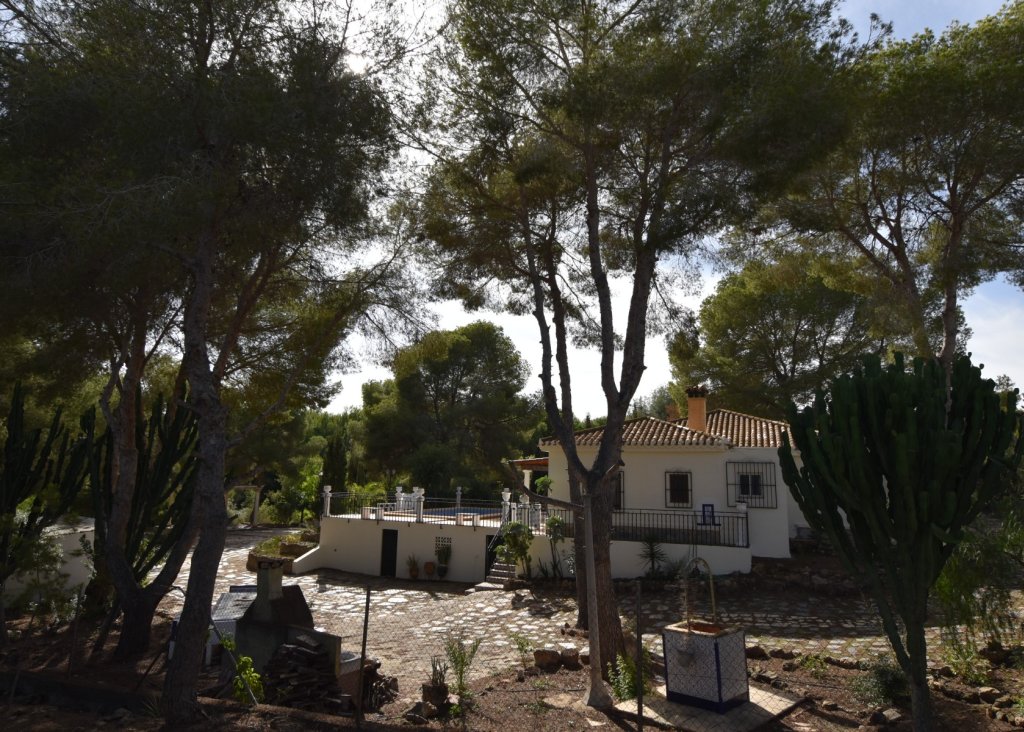 Verkoop - Finca / Country Property - Algorfa - Montemar