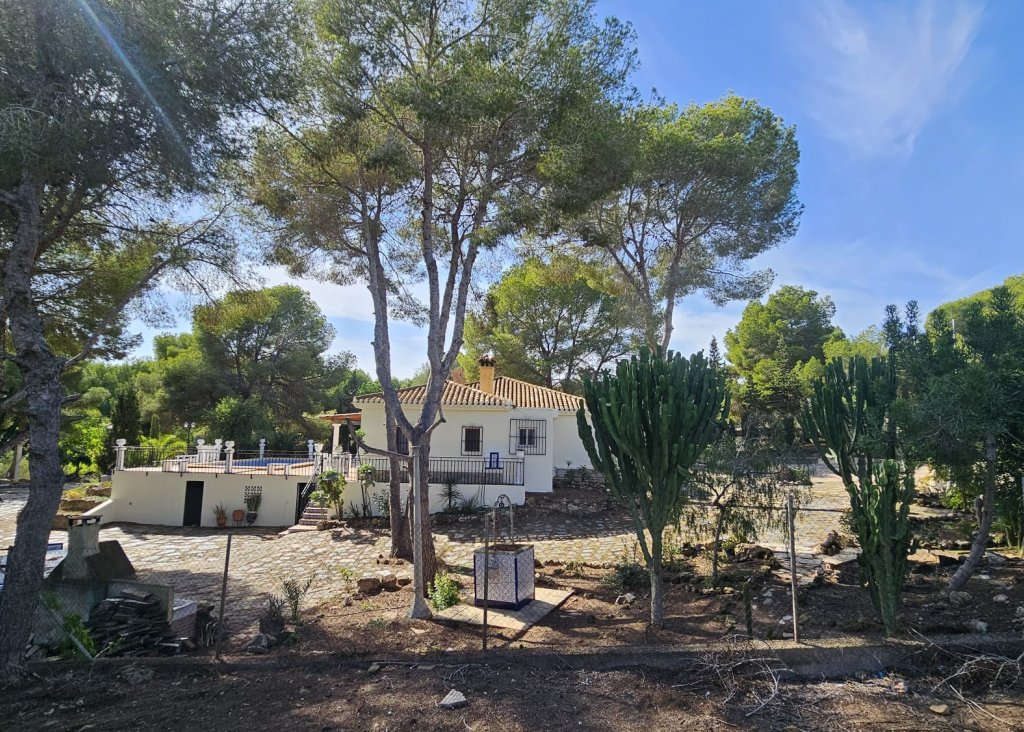 Verkoop - Finca / Country Property - Algorfa - Montemar