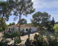 Verkoop - Finca / Country Property - Algorfa - Montemar