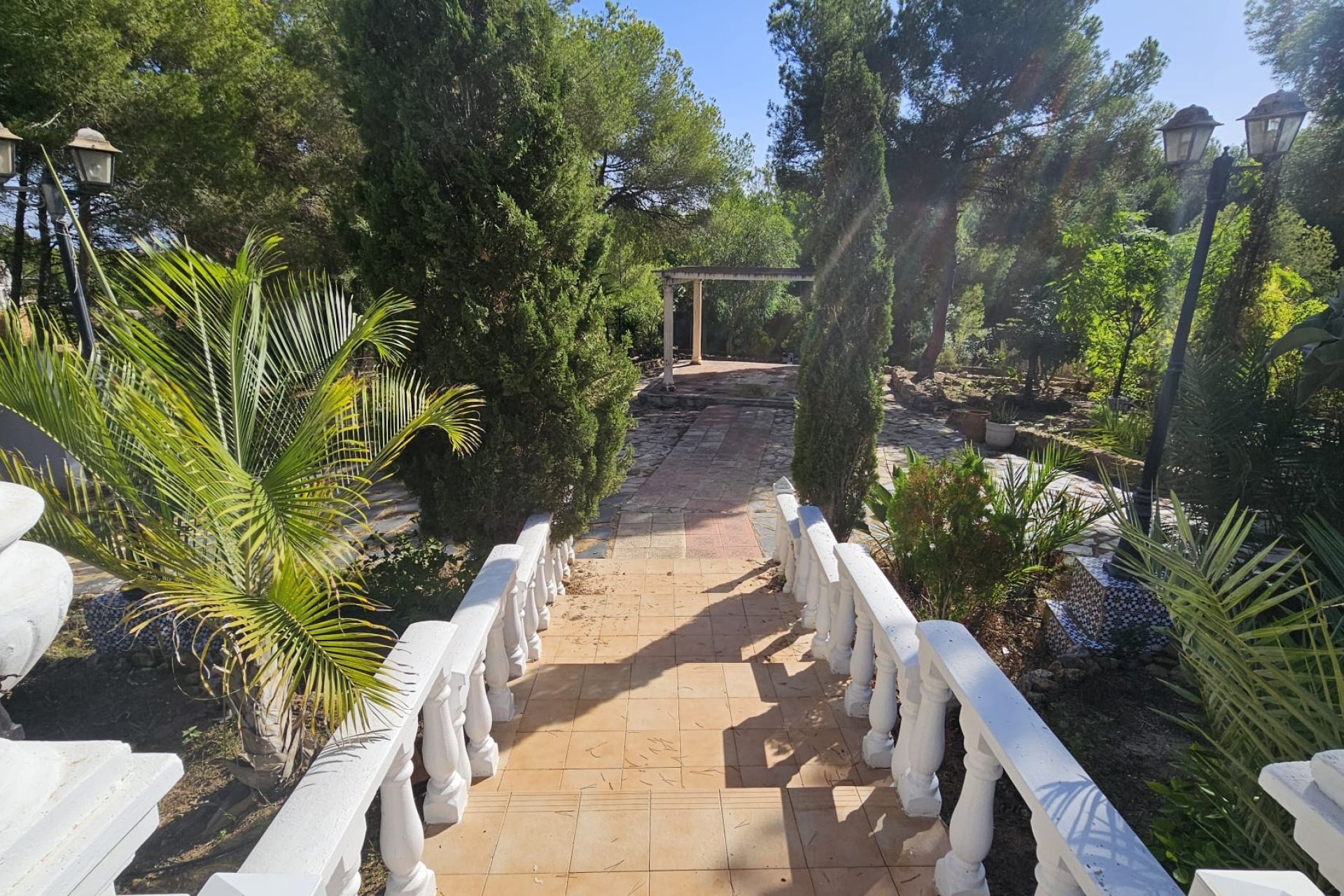 Verkoop - Finca / Country Property - Algorfa - Montemar