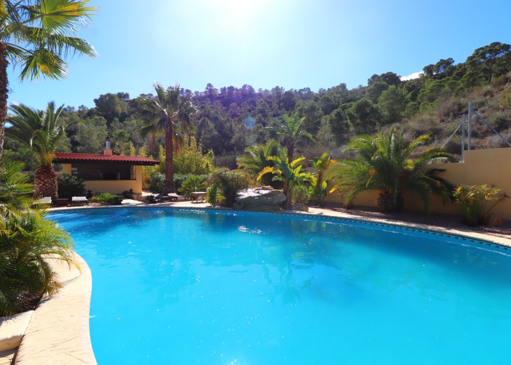 Verkoop - Finca / Country Property - Aspe - Aspe - Country