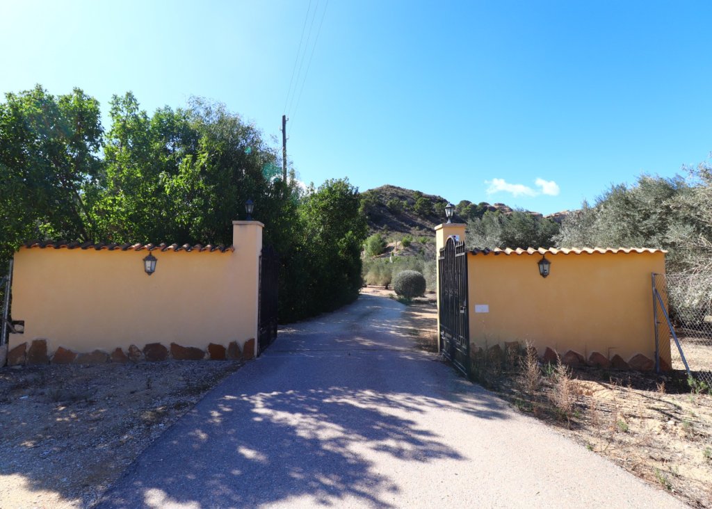 Verkoop - Finca / Country Property - Aspe - Aspe - Country
