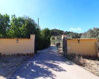 Verkoop - Finca / Country Property - Aspe - Aspe - Country