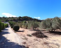 Verkoop - Finca / Country Property - Aspe - Aspe - Country