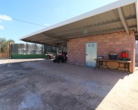 Verkoop - Finca / Country Property - Benferri - Benferri - Country