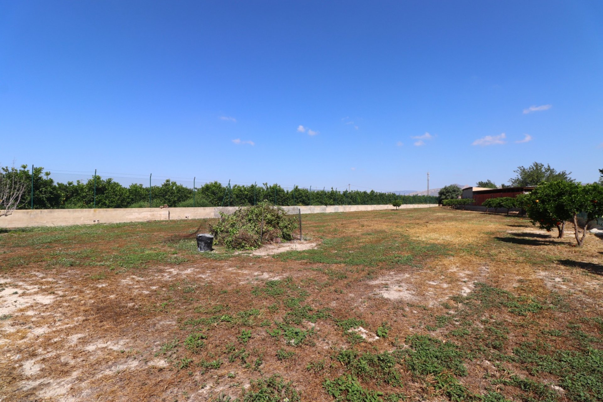 Verkoop - Finca / Country Property - Benferri - Benferri - Country