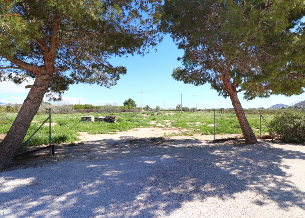 Verkoop - Finca / Country Property - Callosa de Segura - Callosa de Segura - Country