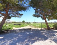 Verkoop - Finca / Country Property - Callosa de Segura - Callosa de Segura - Country