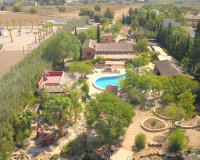 Verkoop - Finca / Country Property - Catral - Catral - Country