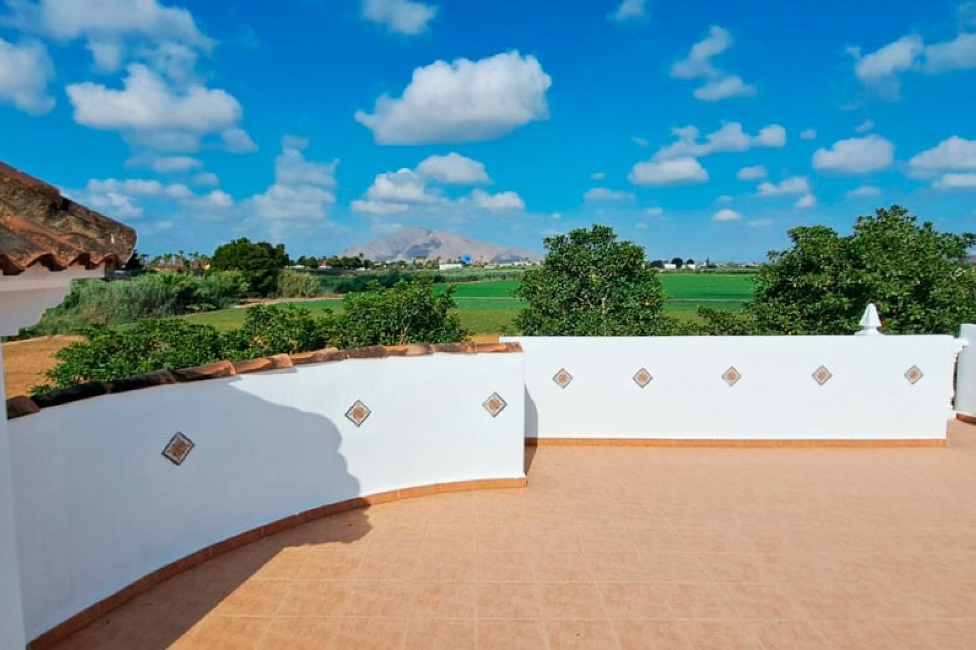 Verkoop - Finca / Country Property - Catral - Catral - Country