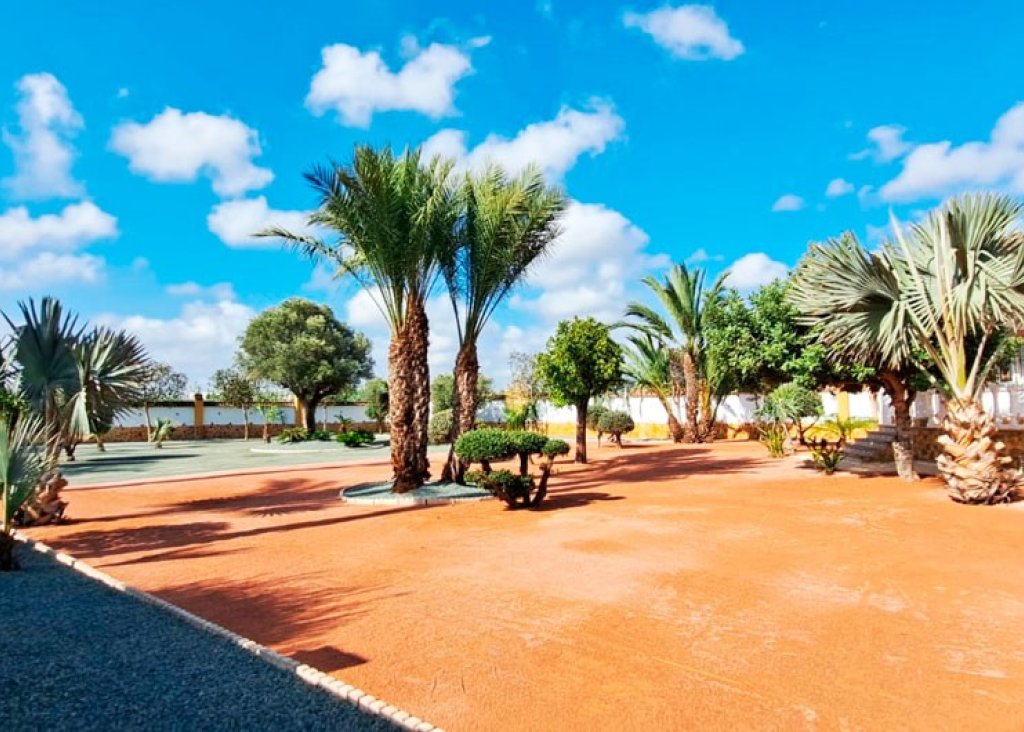 Verkoop - Finca / Country Property - Catral - Catral - Country