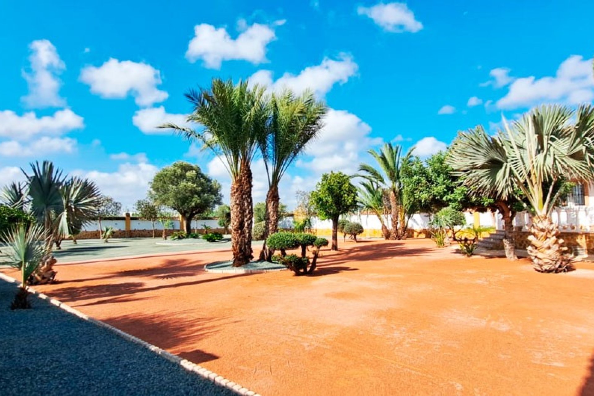 Verkoop - Finca / Country Property - Catral - Catral - Country