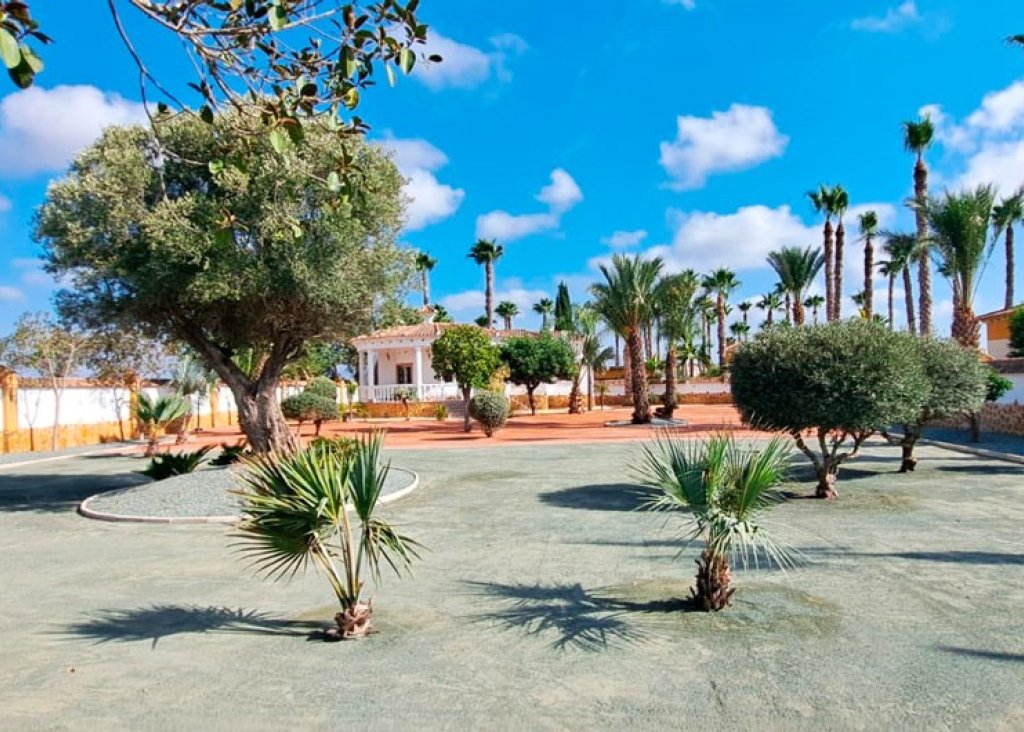 Verkoop - Finca / Country Property - Catral - Catral - Country