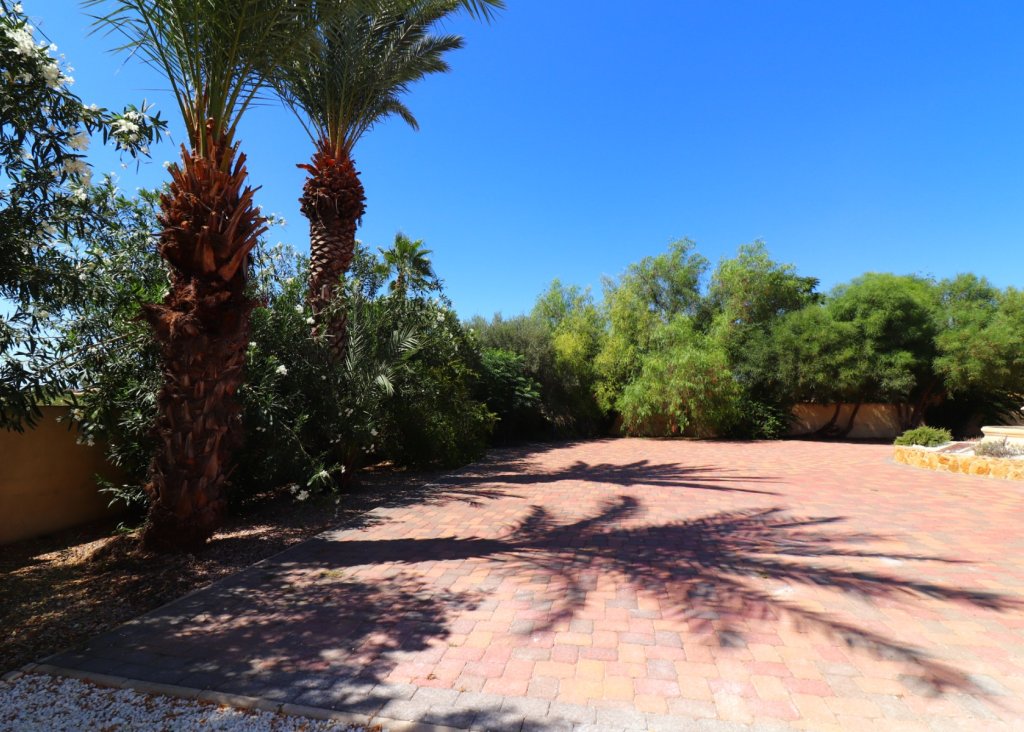 Verkoop - Finca / Country Property - Catral - Catral - Country