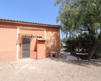 Verkoop - Finca / Country Property - Catral - Catral - Country