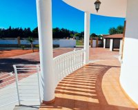 Verkoop - Finca / Country Property - Catral - Catral - Country