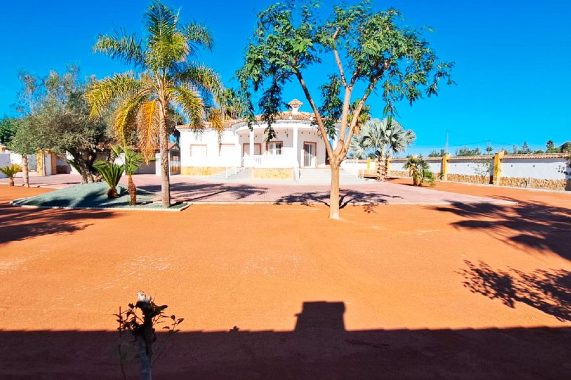 Verkoop - Finca / Country Property - Catral - Catral - Country
