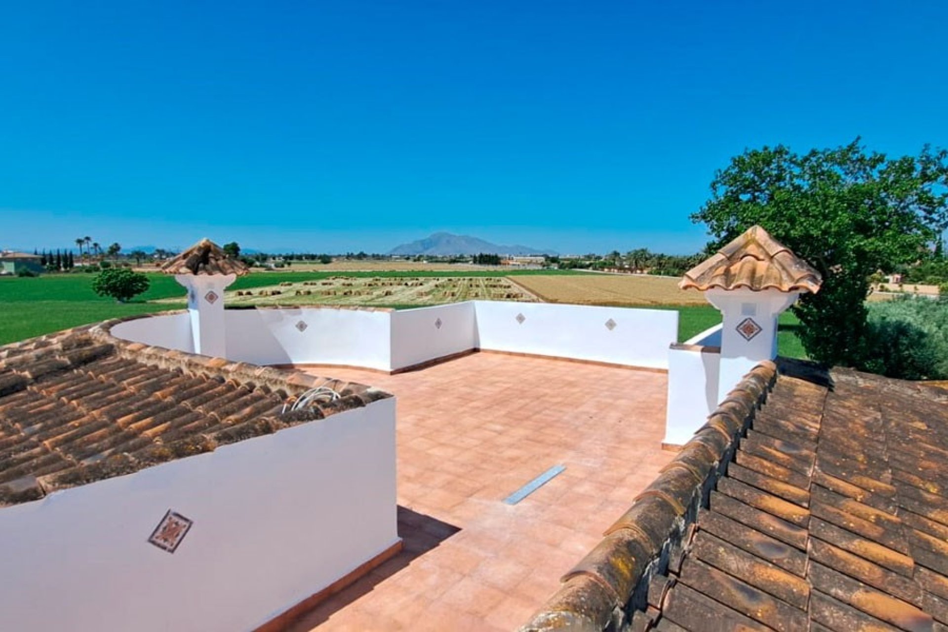 Verkoop - Finca / Country Property - Catral - Catral - Country