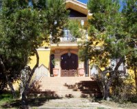 Verkoop - Finca / Country Property - Ciudad Quesada - Lo Pepin
