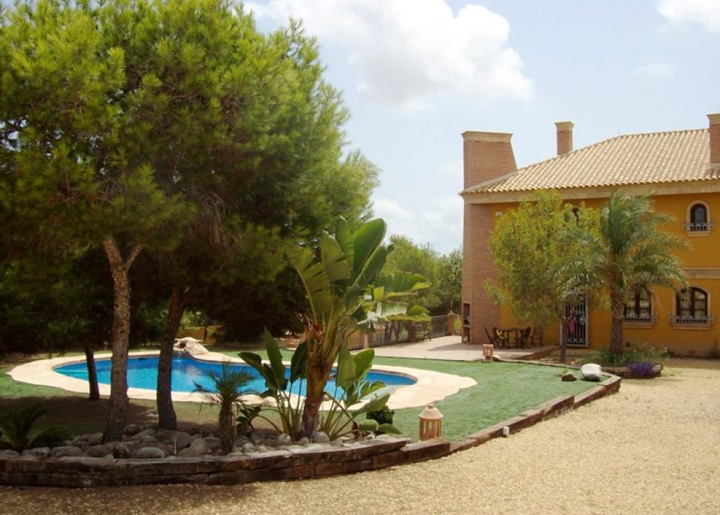 Verkoop - Finca / Country Property - Ciudad Quesada - Lo Pepin