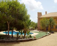 Verkoop - Finca / Country Property - Ciudad Quesada - Lo Pepin