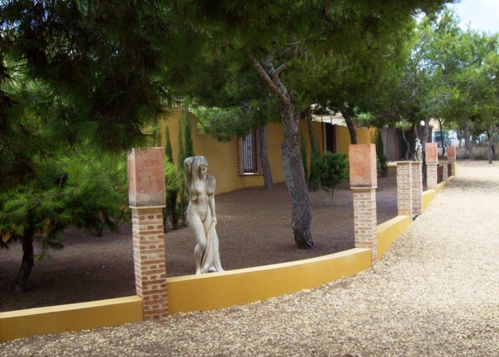 Verkoop - Finca / Country Property - Ciudad Quesada - Lo Pepin