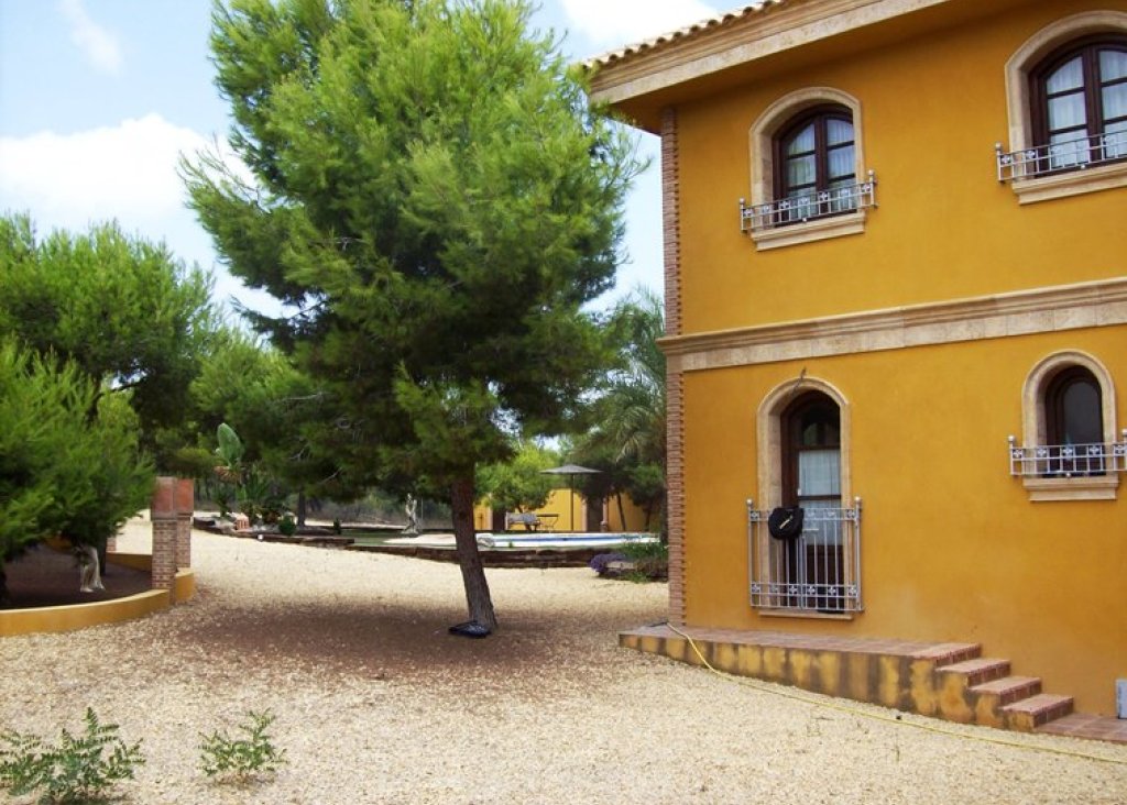 Verkoop - Finca / Country Property - Ciudad Quesada - Lo Pepin
