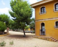 Verkoop - Finca / Country Property - Ciudad Quesada - Lo Pepin