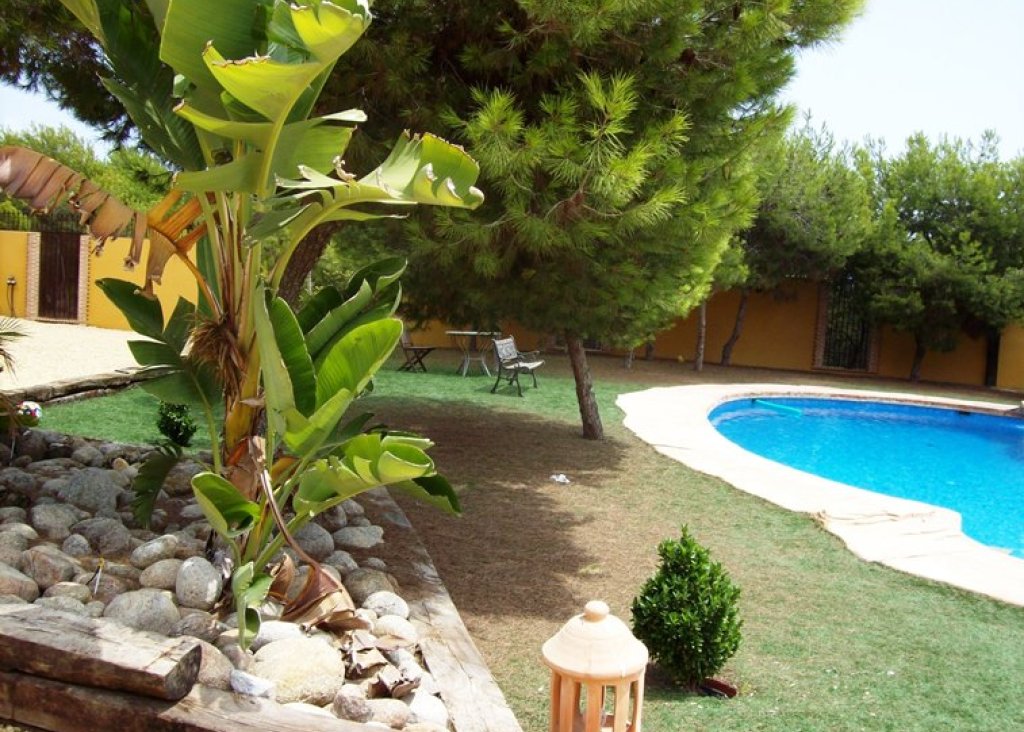 Verkoop - Finca / Country Property - Ciudad Quesada - Lo Pepin