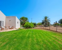 Verkoop - Finca / Country Property - Elche/Elx - Elche