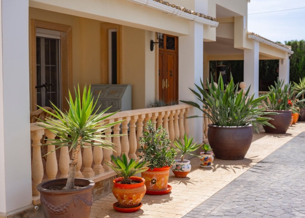 Verkoop - Finca / Country Property - Heredades