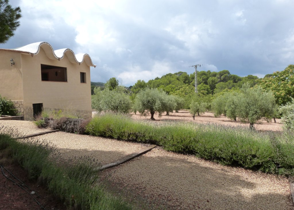 Verkoop - Finca / Country Property - Ibi - Ibi - Country