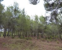 Verkoop - Finca / Country Property - Ibi - Ibi - Country