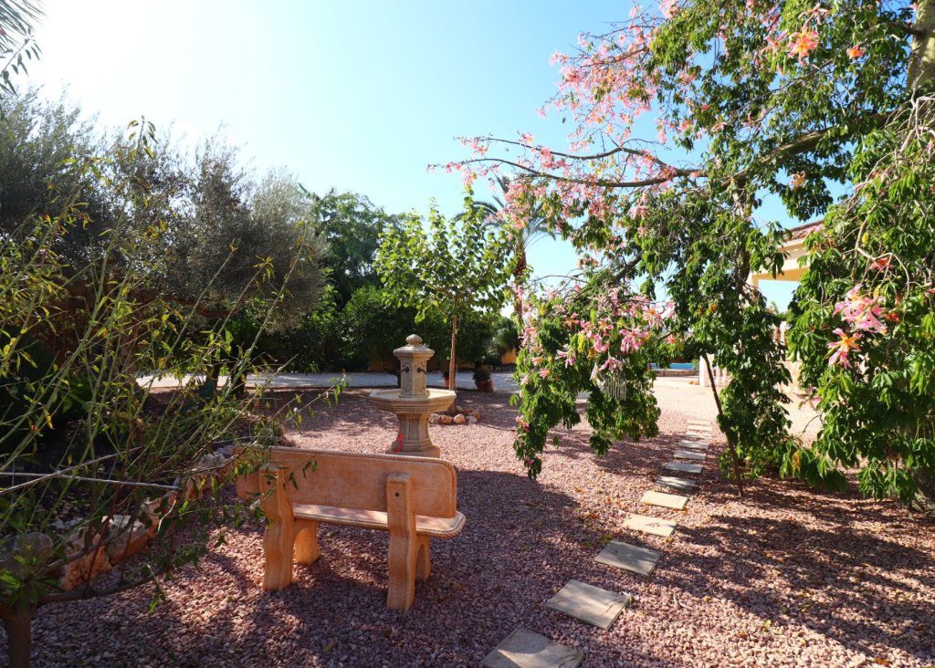 Verkoop - Finca / Country Property - Orihuela - La Campaneta