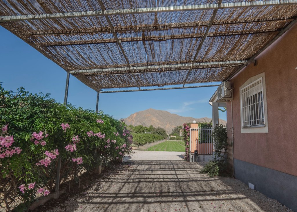 Verkoop - Finca / Country Property - Orihuela - San Bartolome