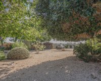 Verkoop - Finca / Country Property - Orihuela - San Bartolome