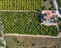 Verkoop - Finca / Country Property - Orihuela