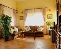 Verkoop - Finca / Country Property - Orihuela