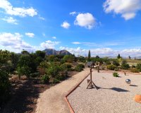 Verkoop - Finca / Country Property - Rafal - El Mudamiento