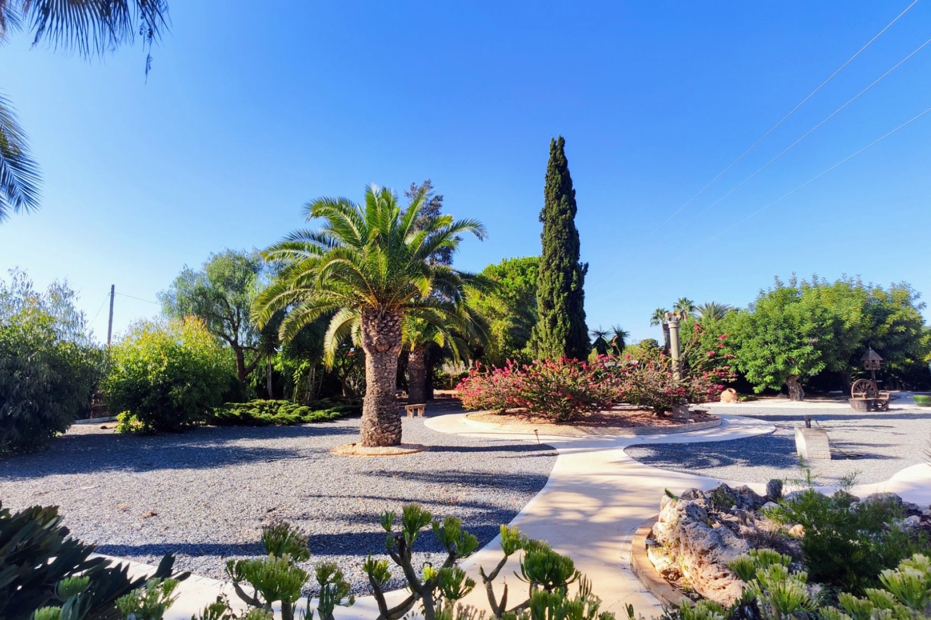 Verkoop - Finca / Country Property - San Miguel de Salinas