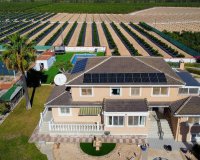 Verkoop - Finca / Country Property - San Miguel de Salinas