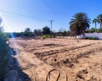 Verkoop - Finca / Country Property - San Miguel de Salinas