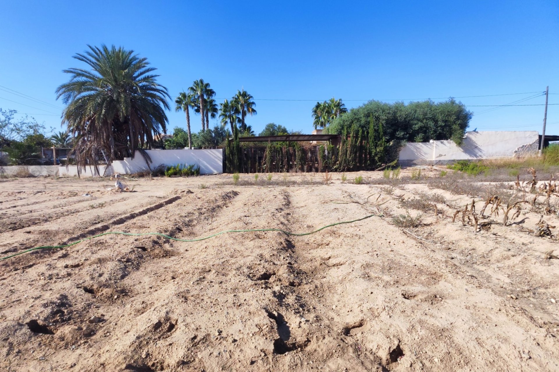 Verkoop - Finca / Country Property - San Miguel de Salinas