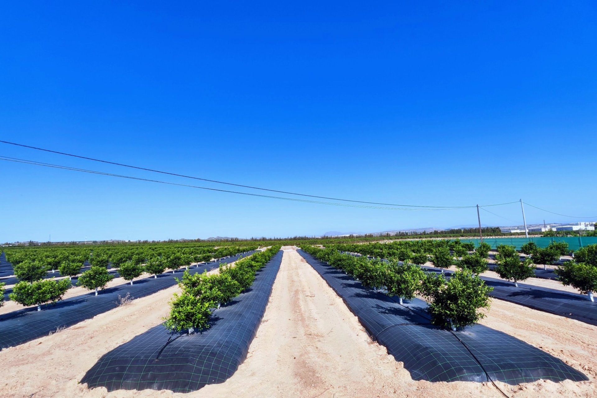 Verkoop - Finca / Country Property - San Miguel de Salinas